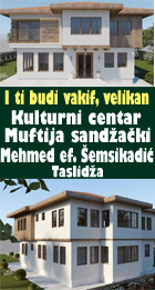 Taslidza Banner.jpg